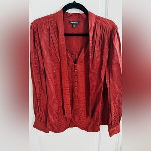 Express Rust Red Satin Jacquard Blouse - Size L